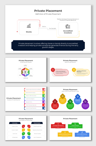 Private Placement slides with vibrant hexagons and bold colors, explaining features, types, and advantages concisely.
