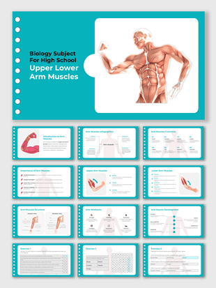 Biology Subject For High School Upper Lower Arm Muscles template with teal theme, anatomy diagram, and labeled visuals.