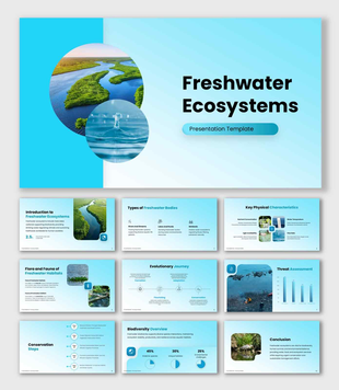 Freshwater Ecosystems presentation with blue theme, river visuals, circular images, clean text blocks.