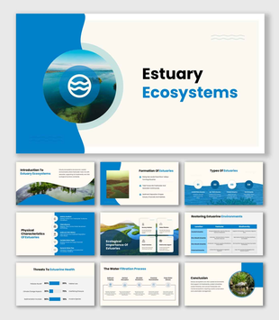 Estuary Ecosystems presentation with blue theme, circular water visuals, clean text blocks, coastal focus.