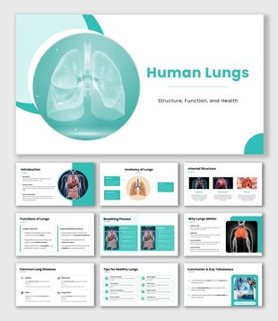 Human Lungs presentation slide with anatomy diagram, breathing process, and health functions overview.