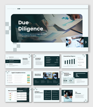 Due Diligence presentation with financial review, legal compliance, market analysis, risk assessment, and recommendations.