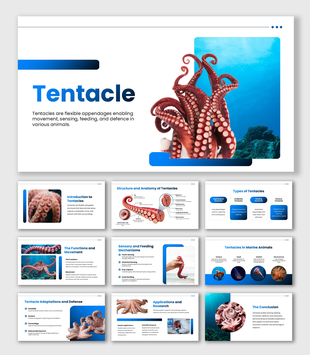 Tentacle preesentation overview with octopus, squid, jellyfish, sea anemone, adaptations, and research applications.