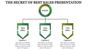 Sales presentation template with a circular sales label and three offer boxes with captions.