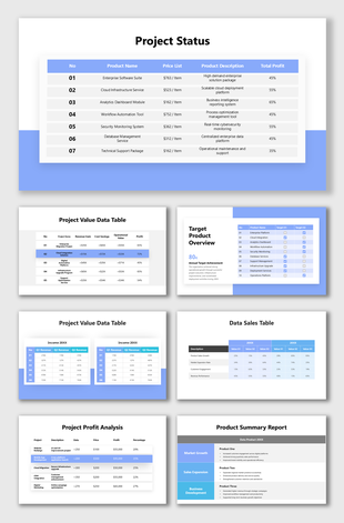 Project status template with performance metrics, sales reports, profit analysis, product summaries, and progress.