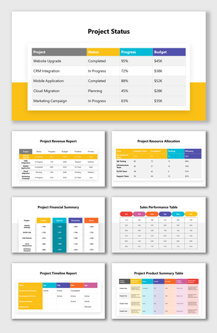 Project status dashboard showing progress, budgets, resources, sales, timelines, and performance summary tables insights.