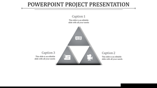 Minimalist triangle graphic divided into parts with icons representing a projector, chart, and video, linked to captions.