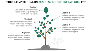 Tree diagram with five branches, each pointing to captions detailing business growth strategies.
