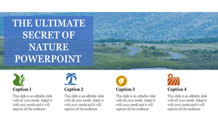 Title text on a blue overlay against a green landscape, with four colored icons at the bottom for captions.