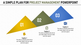 Project management slide with a three step triangular plan numbered 01 to 03, each labeled with captions.