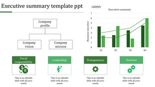 Executive summary slide with a company profile structure, bar graph, and key focus areas with placeholder text.