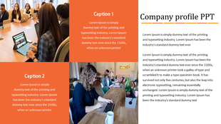 Company profile slide featuring two images of people in meetings, with captions in orange boxes and text on the right.
