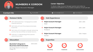Portfolio slide featuring a professional resume design with career objective, job experience, skills, and expertise.