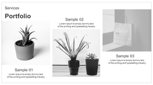 Portfolio slide layout with three grayscale images, including a small potted cactus, indoor plants, and a shopping bag.