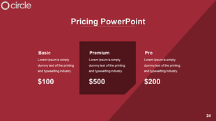 Red and maroon slide with three distinct pricing boxes, each in different rectangular shapes, showing price details.