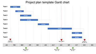 Project plan Gantt chart showing tasks with durations in blue bars and milestones across months, with red and blue markers.