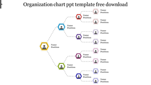 Hexagonal organization chart slide showing names and positions in a hierarchical structure with color coded levels.
