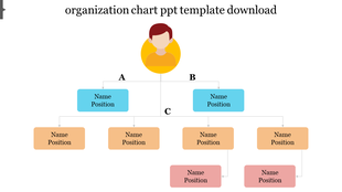 Organization chart with a central figure connected to blue, orange, and pink labeled nodes for names and positions.