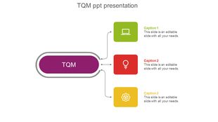 Total quality management graphic with a purple shape linking to three colored boxes with icons and placeholder text areas.