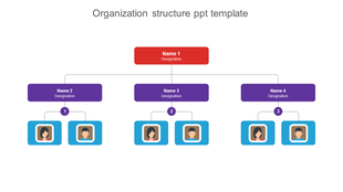 Colorful organization structure slide showing hierarchical relationships between team members with names and designations.