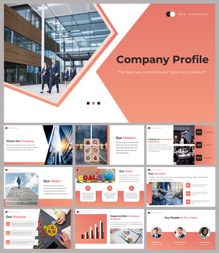 Company profile slides with an orange theme, covering sections like mission, vision, goals, process, and key team members.