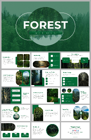 A pack of forest themed slides covers various topics and text descriptions.