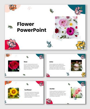 Flower Theme slides with rose, lotus, sunflower, orchid images, floral borders, colorful accents, text holders.