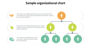 Multicolor Sample Organizational Chart Model Designs