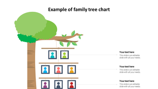 Visual family tree template featuring a brown trunk, leafy green top, and hanging frames arranged with caption areas.