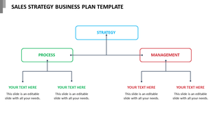 Sales strategy diagram showing strategy at the top, linked to process and management, each with two text placeholders.