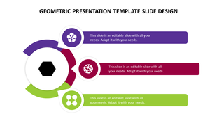 Geometric slide with a black hexagon in a white circle, three icons in purple, red, and green, and matching text boxes.