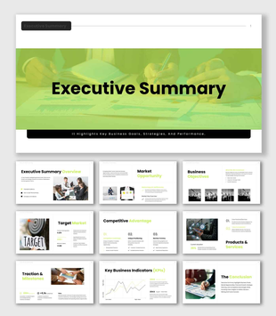Executive summary business presentation with meeting reports, milestone tracking, and financial performance charts.