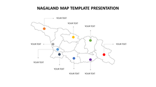Nagaland map with different colored circles spread across the regions, pointing to text placeholders.