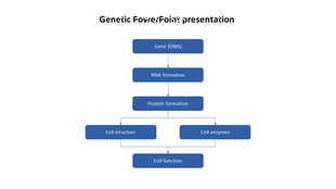 Genetic process diagram showing steps from DNA to cell function, RNA, proteins, structure, and enzymes.
