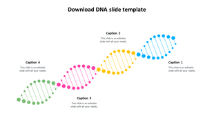 DNA themed slide with a multicolored helix in blue, yellow, pink, and green, with four caption areas for text placement.