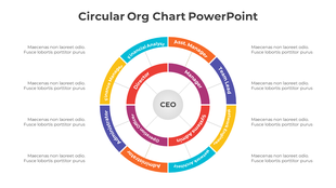 Innovative Circular Org Chart PowerPoint And Google Slides