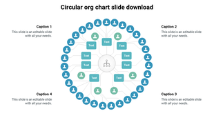 Effective Circular Org Chart Slide Download Template