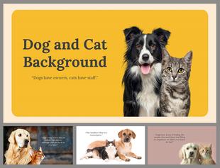 Slide pack with images of dogs and cats on various colored backgrounds, showcasing playful and heartwarming visuals.