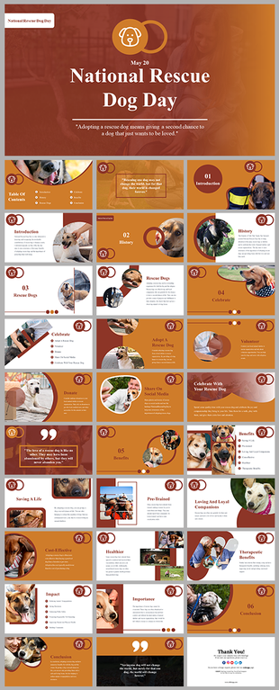 Slide pack with orange and brown accents, featuring visuals of rescue dogs and sections on adopting and donating.
