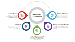 Customer lifetime value infographic with five colored sections surrounding a central circle, representing customer revenue.