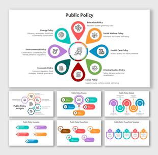 Slide deck on public policy analysis, showing various types and processes with icons and color coded sections.
