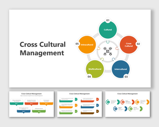 Infographic on cross-cultural management showing five key areas of focus with respective colored numbers and icons.