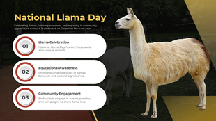 National Llama Day PowerPoint And Google Slides Template