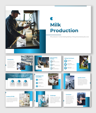 Milk production PPT slides showcasing stages like dairy farming, milking techniques, and product safety on a blue theme.