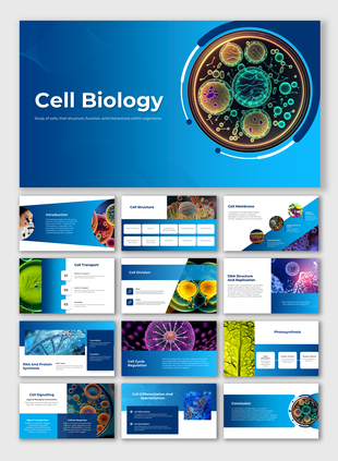 Cell biology slides showing biological processes through high resolution microscopic imagery and structured blue layouts.