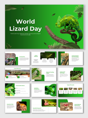 World lizard day slide deck with images of various lizards and sections on habitats, behavior, and conservation.