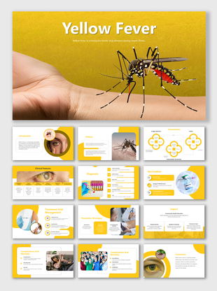 Yellow Fever with mosquito close-up, circular photo frames, medical icons, and yellow themed clinical illustration slides.