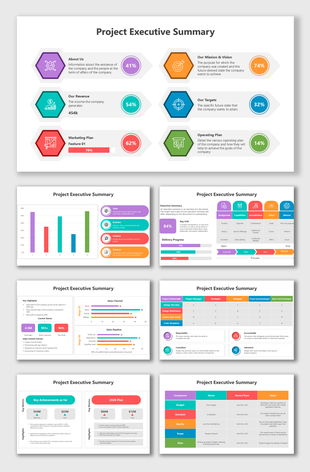 Visual project executive summary including metrics for mission, revenue, and targets in a colorful, structured format.