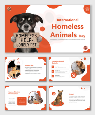 Slide deck for international homeless animals day covering topics such as stray animal challenges to fundraising efforts.