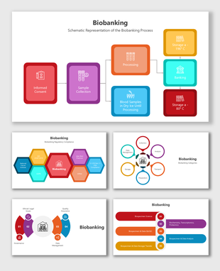 Slides on biobanking featuring processes, compliance, storage, governance, and data management with clear visuals.